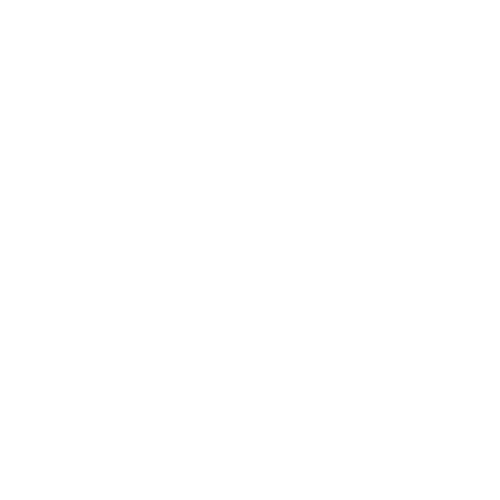 Nutriessence 